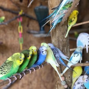 Meet your Posher, DM